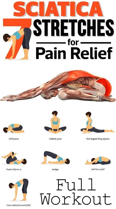 💯 #ICMKnowledgeBase 7 Sciatica... - Imperial Chinese Massage | Facebook