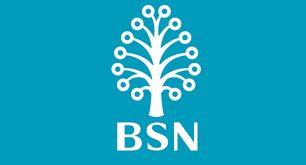 BSN Logo - LogoDix