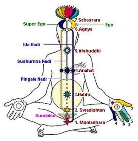 Understanding the chakras meaning and its nadis | Ourgoodbrands