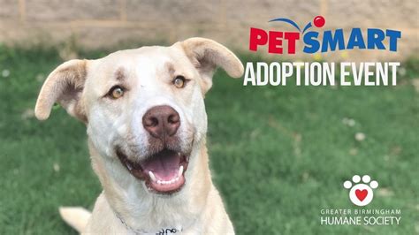 Petsmart Adoption Event — GBHS