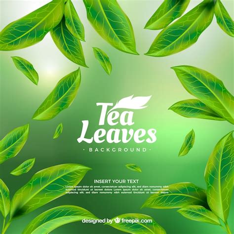 Tea leaves background with realistic style Vector | Free Download