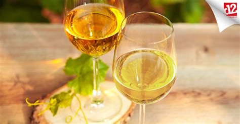 Chardonnay vs Sauvignon Blanc, wat zijn de verschillen? - DrankDozijn.nl Blog