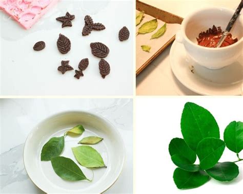 Chocolate Leaves Recipe | Foodtalk