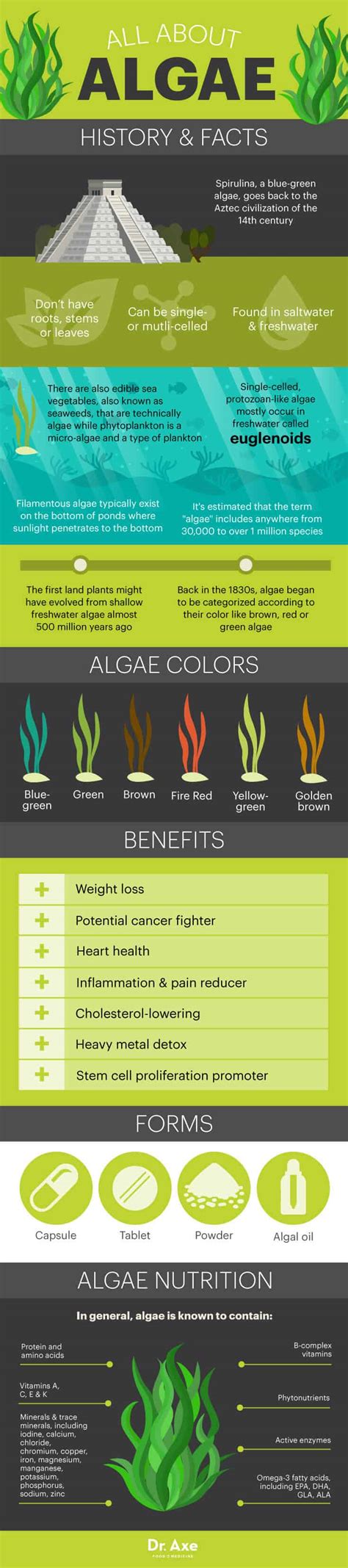 Top 7 Algae Benefits that May Surprise You | Best Pure Essential Oils