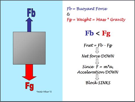 Buoyant Force Free Body Diagram - Wiring Site Resource