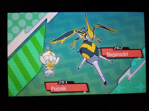 [7] And with the event shiny Poipole I have completed the line! (got Naganadel through the gts ...