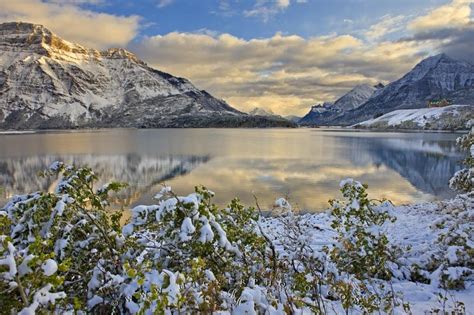 Winter Wonderland Landscape Alberta | Photo, Information