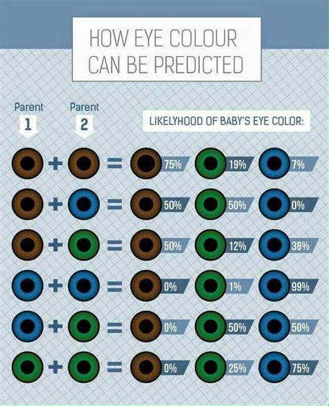 Pin by Nicholi Anne on Fascinating... | Eye color chart genetics, Eye ...