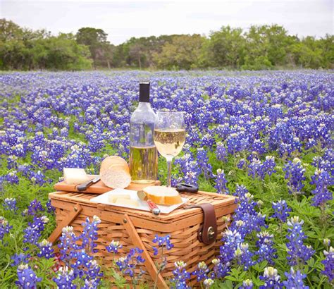 11 Wineries in Fredericksburg TX (Plus Map!) - Roaming the USA