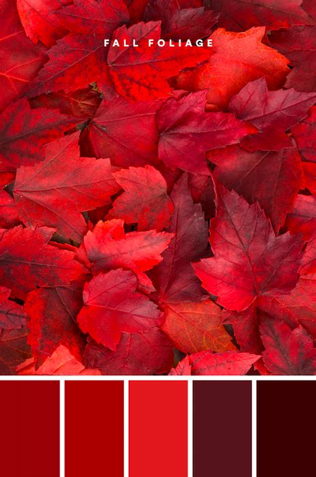 Fall Color Palettes to Warm Up Your Brand | Shades of red color, Red ...