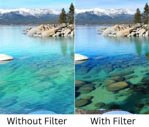 Polarizing Filter Before And After