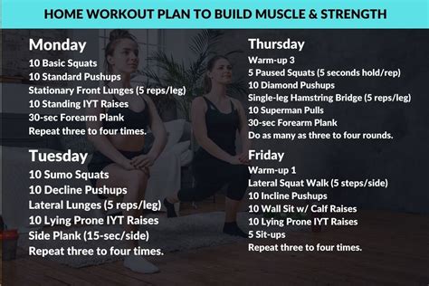 90 Day Home Workout Plan to Build Muscle & Strength w/PDF