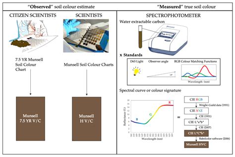 Sustainability | Free Full-Text | Measuring Soil Colour to Estimate Soil Organic Carbon Using a ...