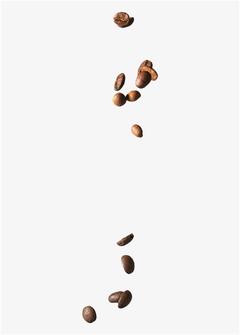 Falling Coffee Beans - Free Transparent PNG Download - PNGkey