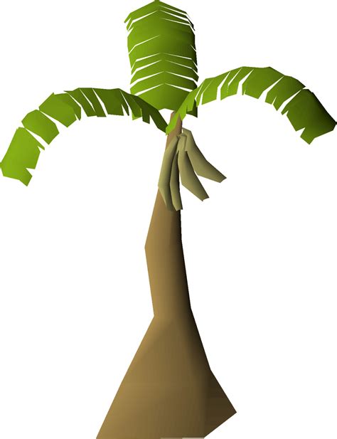 Banana tree (Ape Atoll) - OSRS Wiki