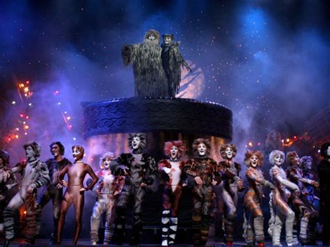 Cats Musical in Broadway NYC: everything you need to know about the ...