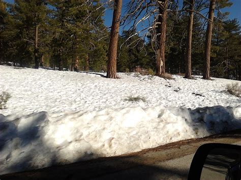 FRAZIER PARK CA: STILL SNOW AT THE TOP OF MT PINOS RECREATION AREA