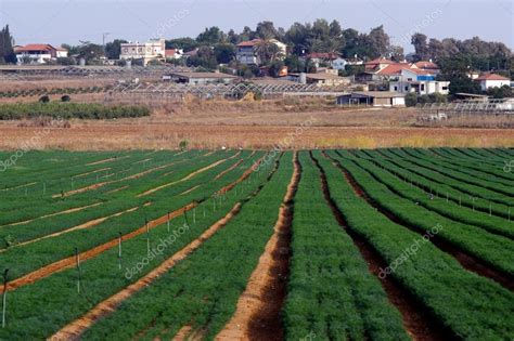 Moshav in Israel – Stock Editorial Photo © lucidwaters #37156561