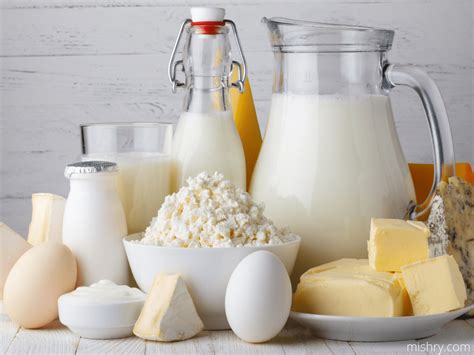 Top 18 Most Popular Dairy Products in India – Mishry (May 2024)