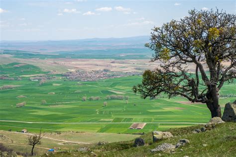 Tree and Countryside Landscape behind · Free Stock Photo