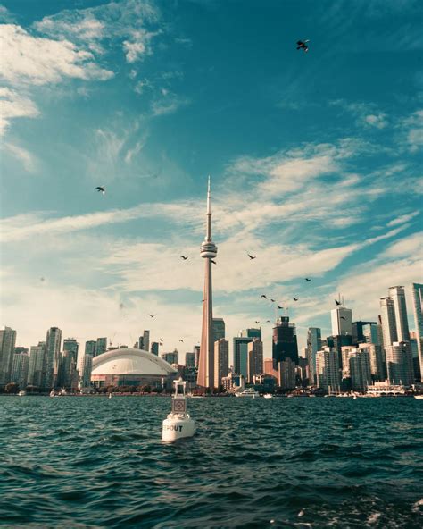 The Toronto Skyline · Free Stock Photo