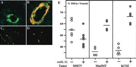 Pericyte-negative and pericyte-positive vessels and the effect of ...