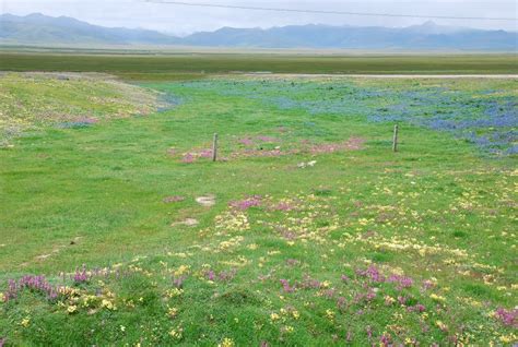 Top 6 Grasslands in China with Google Earth Links | ChinaBlog.cc - Timeless China Blog