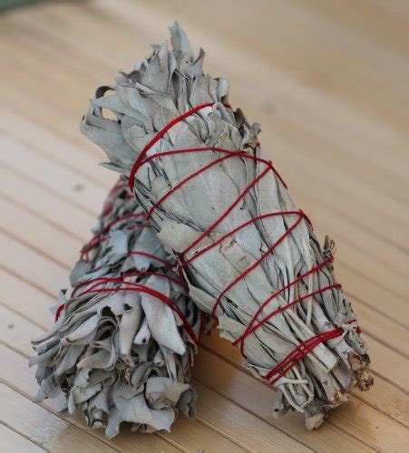 White Sage Smudge Stick - FindGift.com