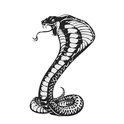 Cobras King Cobra Snakes Tattoo Snake Drawing Transparent HQ PNG ...