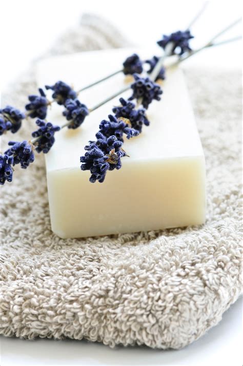 Shea Butter Facial Soap | Artemis Botanicals Bath Shop