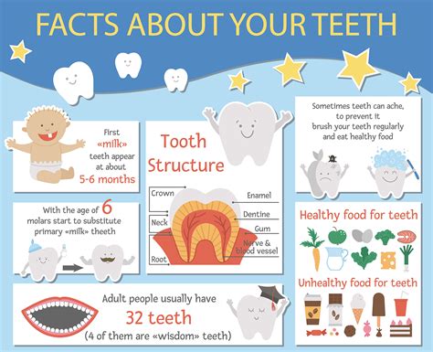 A Fun Dental Care Infographics for Kids - Smile Angels of Beverly Hills