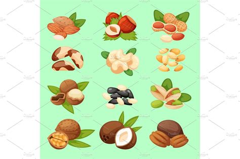 Set of nuts vector illustration food natural | Food Illustrations ...