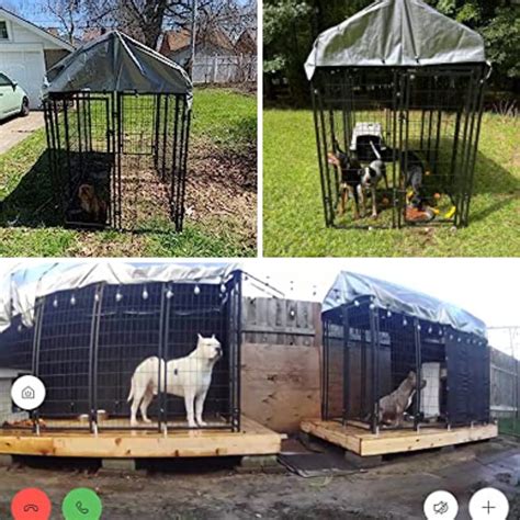 4 Outdoor Dog Kennels Tested: Which One Will Provide Your Pooch With ...