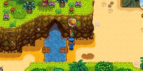 Stardew Valley: Every Golden Walnut Location