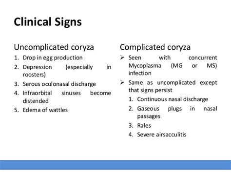 Infectious Coryza_The Disease