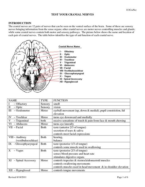 Nerve: Cranial Nerve Exam