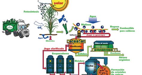 LA CAÑA DE AZUCAR: Proceso industrial