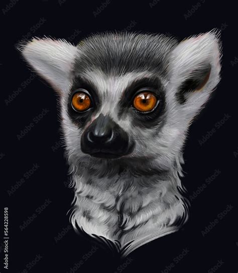 Realistic digital painting of a Lemur. Wild animal face. Raster African Madagascar cute dancing ...