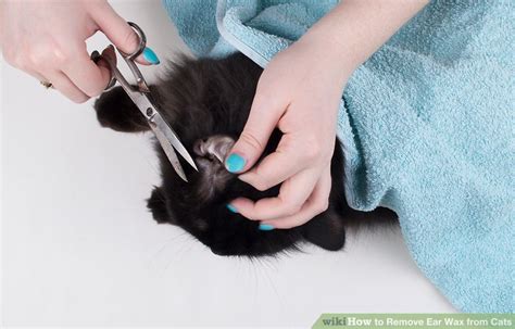 How to Remove Ear Wax from Cats: 14 Steps (with Pictures)