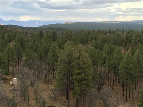 Kaibab National Forest - Tales from the Desert Kaibab National Forest, Hiking