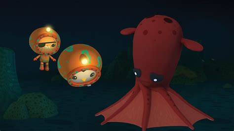 Octonauts Giant Squid Cartoon