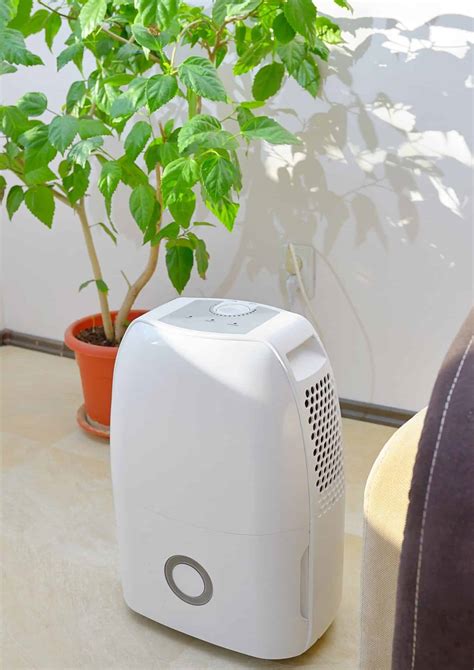 7 Best Mini Dehumidifiers | Temperature Master