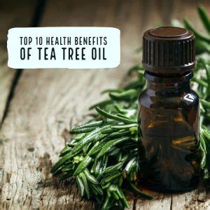 Top 10 Proven Benefits of Tea Tree Oil – Wellness.guide