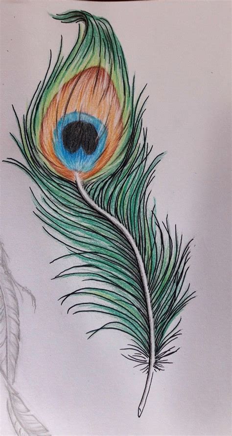 Peacock feather by flavia fricker | Peacock feather art, Feather drawing, Feather painting