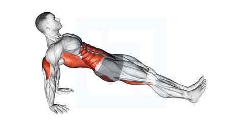 Reverse Plank - Guide, Benefits, and Form