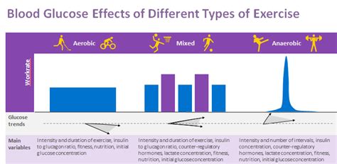 Exercise - LoopTips