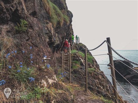 The Gobbins Cliff Path - a walk on the wild side • All Around Ireland