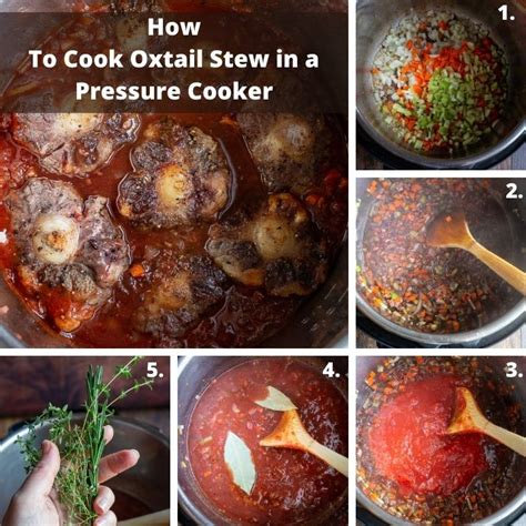 Pressure Cooker Oxtail Stew [Italian Style +VIDEO] - Healthy World Cuisine