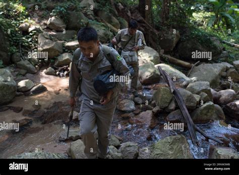 Primate habitat monitoring hi-res stock photography and images - Alamy