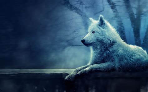 Free Wolf Screensavers and Wallpaper - WallpaperSafari